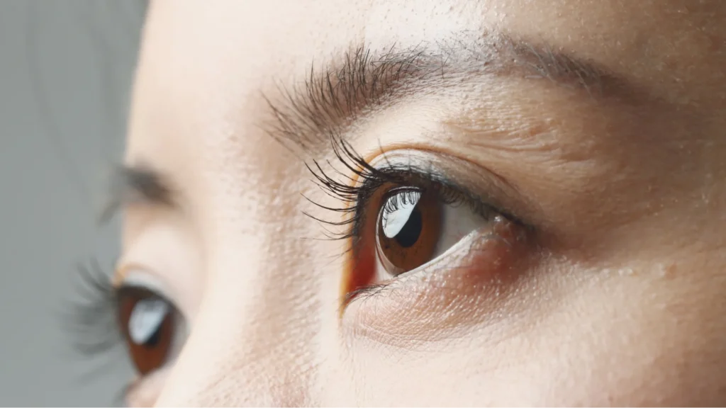Autumn Eye Protection