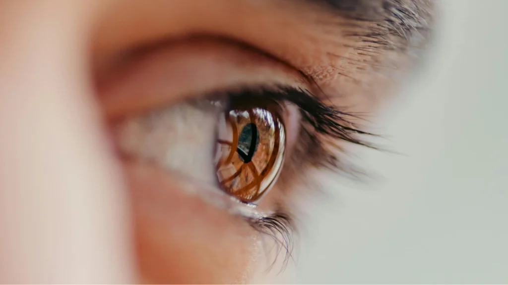 eyewear coverage and vision benefits